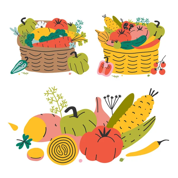 Récolte d'automne légumes mis dans un panier en osier naturel pour le marché agricole ou le pique-nique. Concept d'alimentation saine naturelle biologique . — Image vectorielle