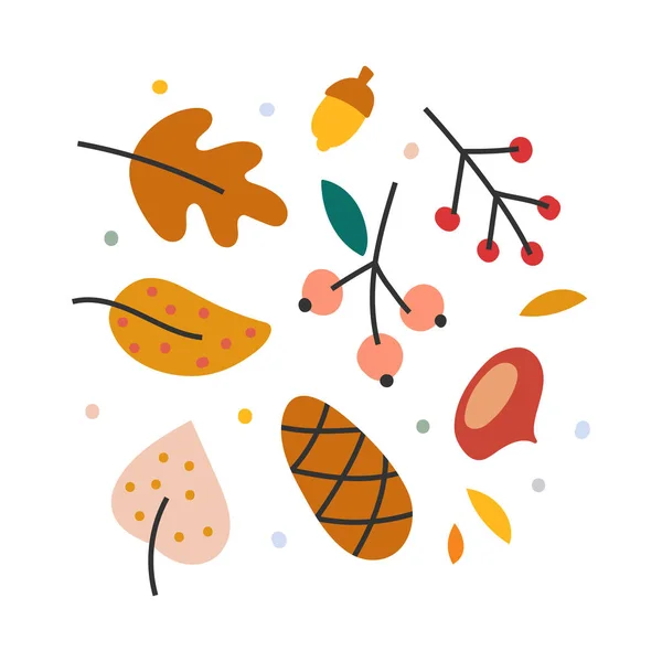 Vetor mão desenhada ilustração de folhas de outono, bagas rowan ans castanha, símbolo de outono sazonal . — Vetor de Stock