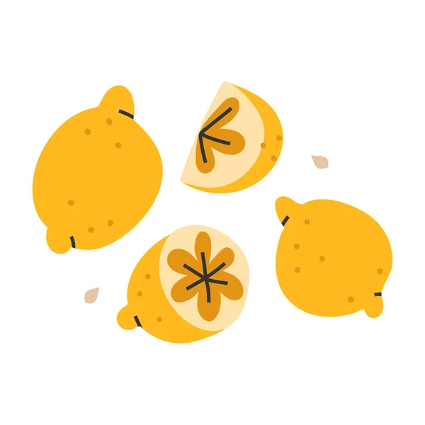 Vector ilustración dibujada a mano de limones enteros y cortados, cítricos frescos tasry, cosecha de cultivos . — Archivo Imágenes Vectoriales