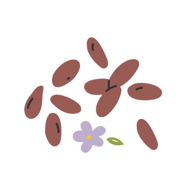 Keten tohumları yalıtılmış, vektör eli çizilmiş sanat, çiçekli keten tohumu, malzeme simgesi