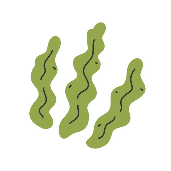 Wodorosty odizolowane, ikona liści wodorostów, ilustracja wektora ręcznie rysowane, składnik zdrowej żywności — Wektor stockowy