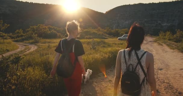 Mujeres jóvenes dando un paseo en un pintoresco cañón en el verano . — Vídeos de Stock