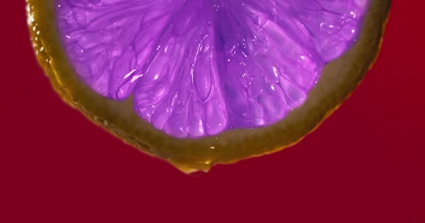 シネマグラフ レモンの紫色のスライスのクローズアップまたはマクロは 水の滴がスローモーションで落ちる 果実は新鮮さとジュースの充填を放つ フレッシュフルーツ カクテルジュースオリジナルファイルネームのコンセプト — ストック動画