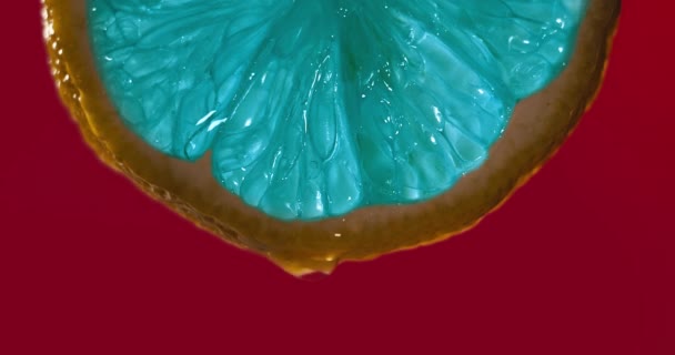 シネマグラフ レモンの青いスライスのクローズアップまたはマクロは 水の滴がスローモーションで落ちる 果実は新鮮さとジュースの充填を放つ フレッシュフルーツ カクテルジュースのコンセプト — ストック動画
