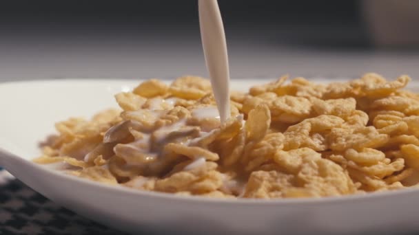 Milch Auf Cornflakes Gießen Zeitlupe — Stockvideo