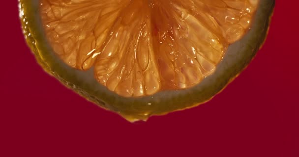 Cinemagraph Close Macro Slice Lemon Drop Water Falls Slow Motion — Stock Video