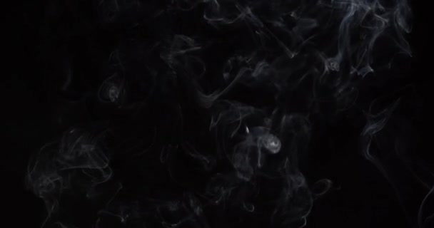 Humo Blanco Sobre Fondo Negro Aislado Del Estudio — Vídeo de stock