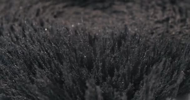 磁場の影響下の鉄粉 抽象的な背景 元のファイル名 — ストック動画