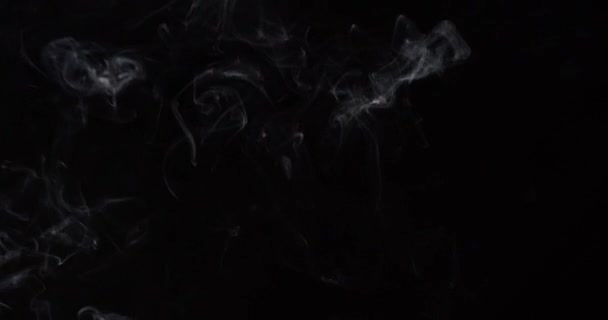 Fumo Branco Fundo Isolado Estúdio Preto — Vídeo de Stock