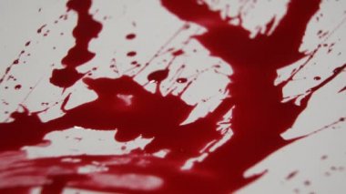 İki Alyans kan düşüyor.