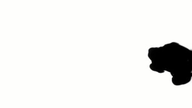 Beyaz yüzeyde mürekkep düşer.