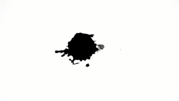 Chorro Tinta Negra Inyectado Agua — Vídeos de Stock