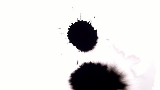 Inkt Druppels Wit Oppervlak — Stockvideo