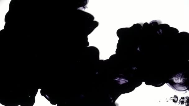 Vízbe Befecskendezett Fekete Tintás Sugárhajtómű — Stock videók
