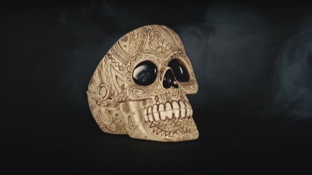 Skull Covered Smoke Dark Background — Stock Video