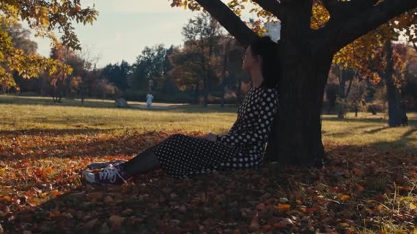 Feminino Encostado Uma Árvore Parque Outono — Vídeo de Stock