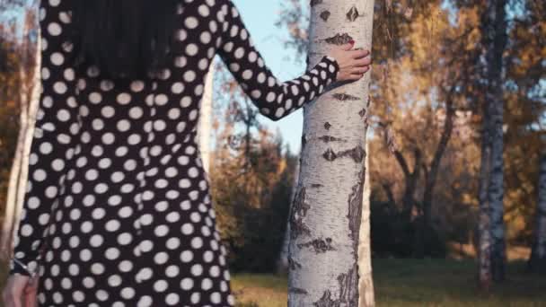 秋に白樺の木に触れる雌 — ストック動画