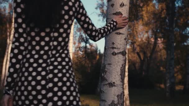 Kobieta Dotykając Brzozowego Drzewa Jesienią — Wideo stockowe