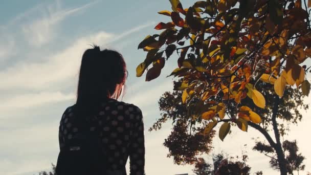 Жінка Щасливо Кидає Осіннє Листя Повільному Русі — стокове відео
