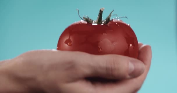 Close Shot Female Hand Tomato Covered Water Drops — Stock Video