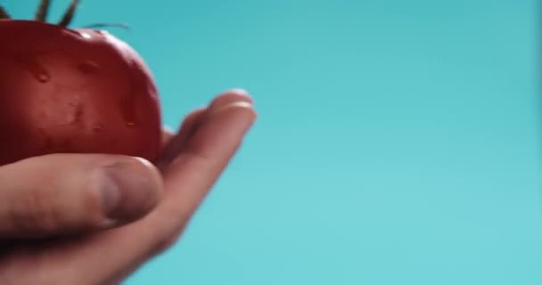 Primer Plano Mano Femenina Con Tomate Cubierto Gotas Agua — Vídeos de Stock