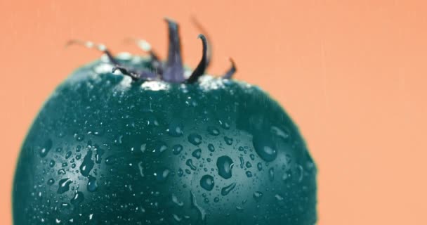 Nahaufnahme Von Wassertropfen Die Von Einer Grünen Tomate Rollen — Stockvideo