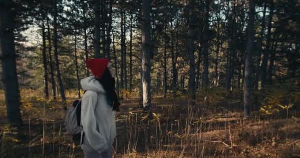 Ung Kvinnlig Turist Utforska Tallskog Ensam — Stockvideo