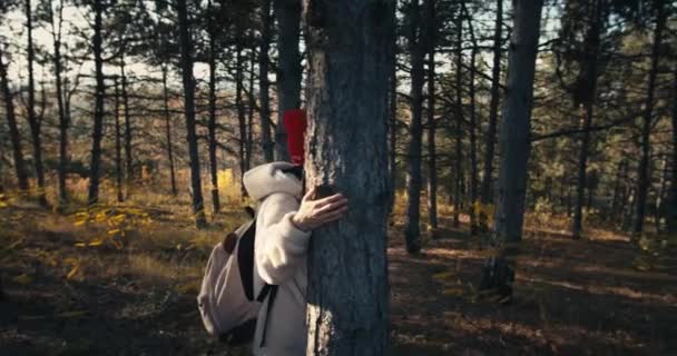 Młoda Turystka Zwiedzająca Las Sosnowy Samotnie — Wideo stockowe
