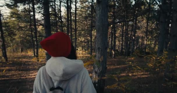 Молодая Туристка Исследует Сосновый Лес Одиночку — стоковое видео