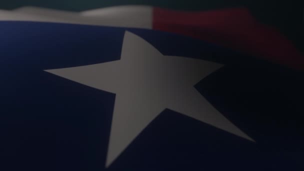 Texas Flag Vinkar Mörk Atmosfärisk Miljö Slow Motion Oändlig Slinga — Stockvideo