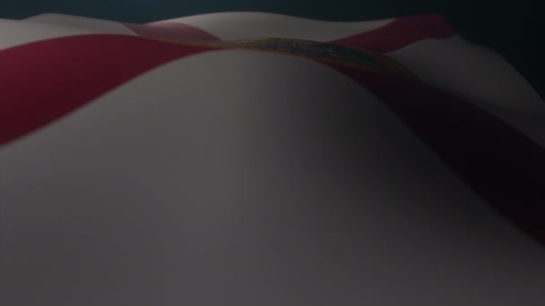 Bandeira Flórida Acenando Ambiente Atmosférico Escuro Câmera Lenta Laço Infinito — Vídeo de Stock