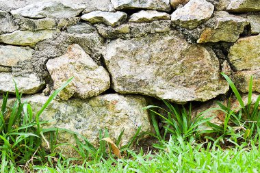 Bahçede yeşil çim ile kaya duvar