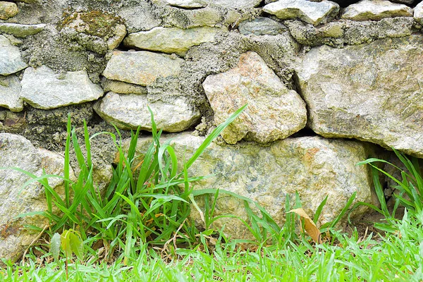 Stenen muur met gras in de tuin — Stockfoto