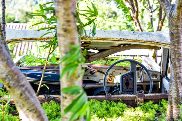 Old Car Soft Sunlight Grass Flower Field — Stock Photo, Image