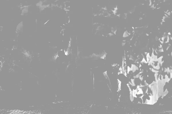 Grunge Parede Texturizada Closeup Scratch Grunge Background Abstract Salpicado Sujo — Fotografia de Stock