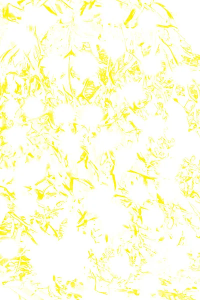 Scratch Grunge Background Abstract Розроблений Брудний Позиціонер Вашого Дизайну Золота — стокове фото