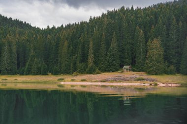 ormanda dağ manzarası vardır. Peyzaj, renkli yaprakları ile ağaçlar, yeşil çim üzerinde Don, arka planda sis dağ. dağlarda muhteşem gündoğumu. Sonbahar Alpleri 'nde geliyor.