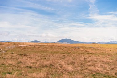 Bahar güzel bir güneşli gün çiçeklenme taze yeşil çayırları ile Alpler 'de pastoral dağ manzaralarının panoramik görünümü, Ulusal Park
