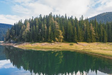 ormanda dağ manzarası vardır. Peyzaj, renkli yaprakları ile ağaçlar, yeşil çim üzerinde Don, arka planda sis dağ. dağlarda muhteşem gündoğumu. Sonbahar Alpleri 'nde geliyor.