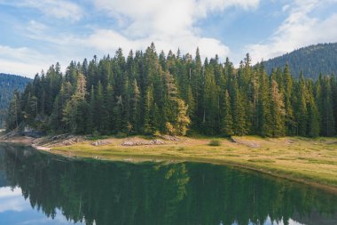 ormanda dağ manzarası vardır. Peyzaj, renkli yaprakları ile ağaçlar, yeşil çim üzerinde Don, arka planda sis dağ. dağlarda muhteşem gündoğumu. Sonbahar Alpleri 'nde geliyor.
