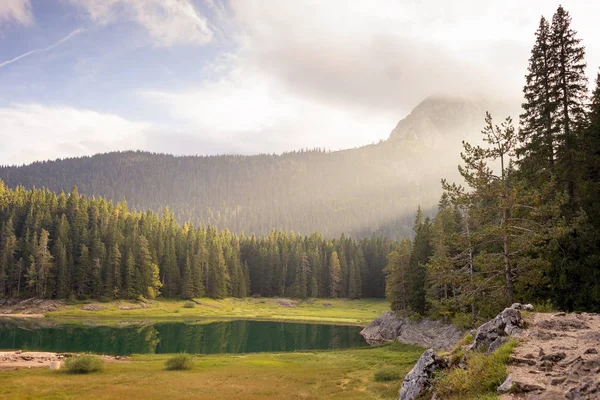 ormanda dağ manzarası vardır. Peyzaj, renkli yaprakları ile ağaçlar, arka planda sis yeşil çim üzerinde Don. dağlarda muhteşem gündoğumu.