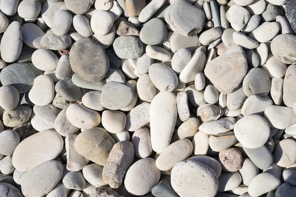 Deniz Kenarında Sahilde Taşlar — Stok fotoğraf