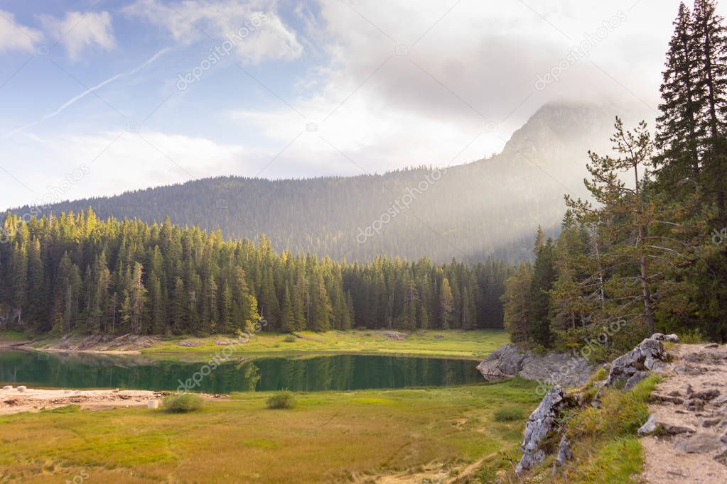 mountain view in the forest. landscape, trees with colorful leaves, frost on green grass, mountain in fog in the background. gorgeous sunrise in mountains. Fall is coming in the alps.