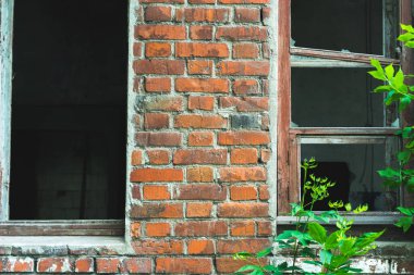 Yazının oluşturulması için beyaz karton arkaplan.