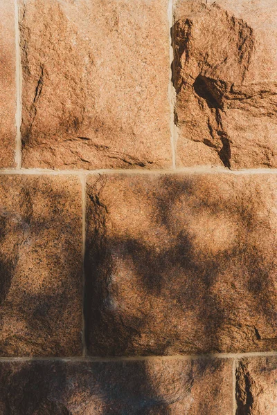 Skuggan Ett Träd Vägg Naturlig Skönhet Poduim Bakgrund Med Sten — Stockfoto