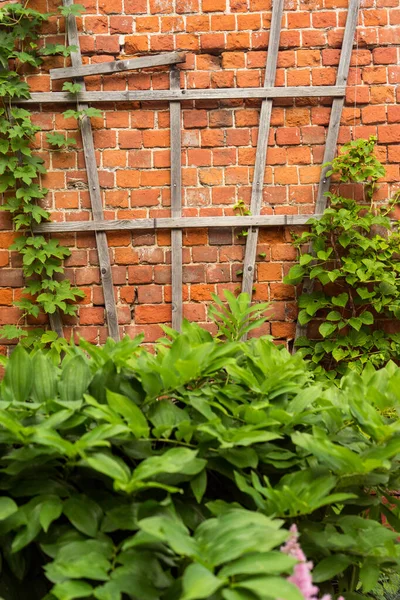 Çiçekli grunge duvar arka planı. Güzel eski ön kapı tuğlalı ev.