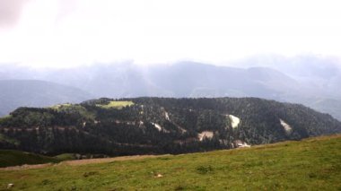 Çayır ya da dağlarda otlayan kahverengi bir at. Doğal manzarası çok güzel, yeşil çayır. 4K video.