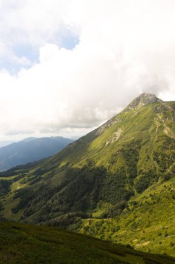 Alp Dağları çayır sakin yaz manzarası. Dağ Vadisi Köyü manzarası. Dağ köyü manzaralı. Dağlardaki köy. Dağ vadisi köyü manzarası.