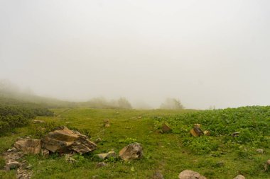 Alp Dağları çayır sakin yaz manzarası. Dağ Vadisi Köyü manzarası. Dağ köyü manzaralı. Dağlardaki köy. Dağ vadisi köyü manzarası.