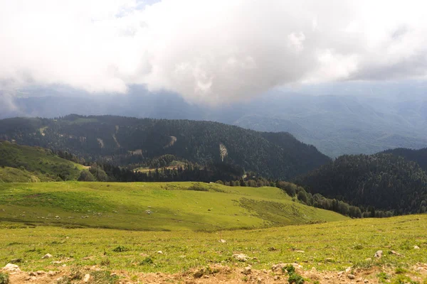 Alp Dağları çayır sakin yaz manzarası. Dağ Vadisi Köyü manzarası. Dağ köyü manzaralı. Dağlardaki köy. Dağ vadisi köyü manzarası.